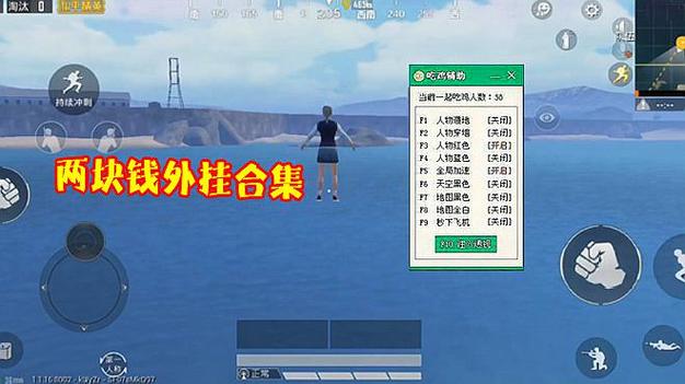 和平精英辅助【九世】